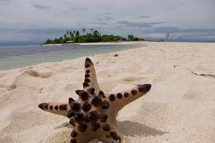 Philippines 7 Days Bohol and Camiguin Island Biking Tour